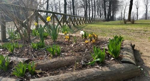 Cascina Govean Alpignano Екстер'єр фото